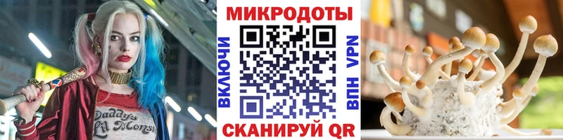 Галлюциногенные грибы Psilocybe  Купить закладки  Монино 